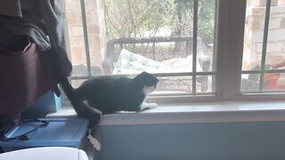 Lizard Hunt Gone Wrong? Epic Fail!  FunFM