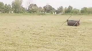 Club Cricket hmc