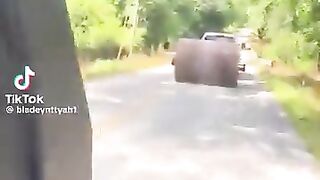 You Wont Believe How These Roller People Need Me!  FunFM
