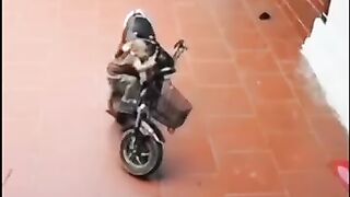 varata mamey.kediler kedim sokakhayvanları komikvideolar sokakkedileri kedicik yuva