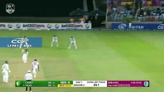 Great Cricket Catching