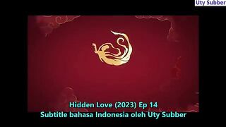 Hidden Love 14