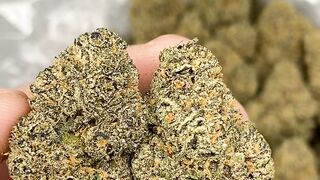 Comprar cannabis en Barcelona Telegram (Frendzi1)