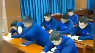 Funny Video 461