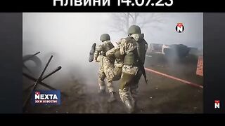 НЕКСТА LIVE 13