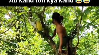 Funny Viedo 4