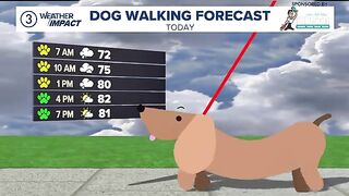 Doggone Weather in Northeast Ohio Rowdy