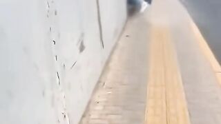 Fun   masti    FunVideo  funnyreels 27