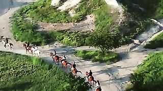 Horse 22