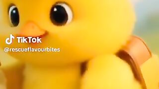 Cute duck baby