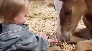 They were so precious together  horse equestrianjourney farming101 farming fyp
