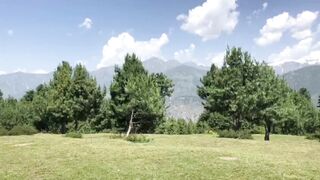 Pine Hotel Shogran