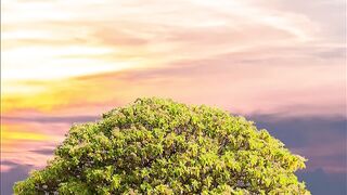Música para dormir com harmonia, calma e suave- Relaxante com efeito calmante- Fragmentos 34