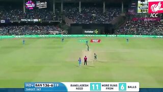 Cricket Excitement