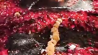 O9829644411 Vashikaran Specialist Molvi Ji