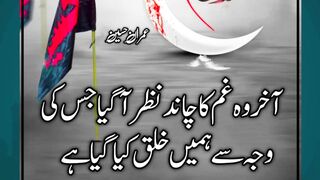 Quotes That Describe True Bravery of Imam Hussain on 10 Muharram