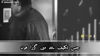 Jis takalif say guzara hu