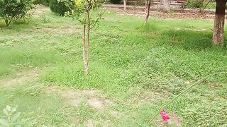 golpri Video