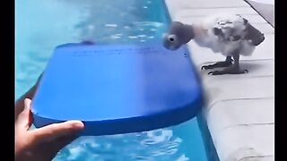 Best video 151