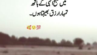 Love of Allah