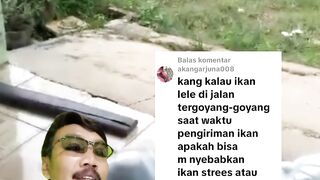 Berlaku untuk PEMBELI dan PENJUAL begini cara agar ikan lele aman saat diperjalanan