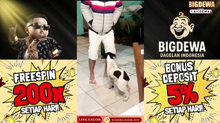 Jangan kasi kendor Jengg