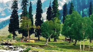 Kashmir like