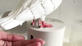 4 Hilarious Gadgets You Didnt Know You Needed!