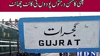 ARAR Companys mission to beautify Gujarat and Kharian