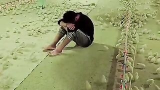 viralvideo  trendingreels 77