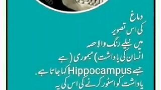 Shariat Ke Masail Seekhain 75