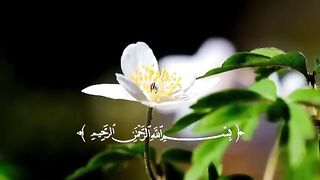 SurahRahmanPowerfulTilawatwithUrduTranslationAbdulBasitSoothingQuranRecitation