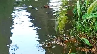 Gentle water flowing