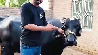 Best video 152