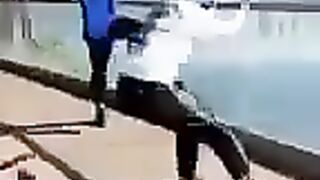 Funny Jumpings