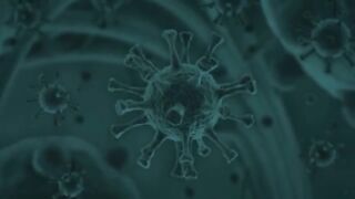 Pill version of COVID vaccine underway