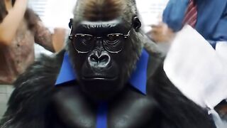 Gorila boss angry mood
