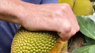 Jackfruit 8