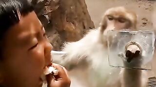 Fun   masti    FunVideo  funnyreels 38