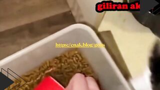 Ketika kamu dan temenmu sama-sama lapar, tapi nasib berkata lain.