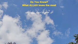 Allah Ko Sab Se Zyada Kya Pasand Hai? Har Musalman Ko Yeh Zaroor Maloom Hona Chahiye!