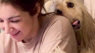 Cute Dog Loves Madam Too Much