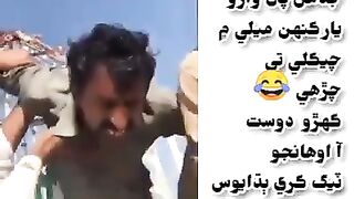 Very funny TikTok