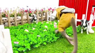 Smart Bim Bim monkey washes eggs in the bathtub and makes fried eggs part 3 | Funny monkey animation videos #babymonkeyanimal #Animal #bimbimonkey