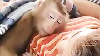 Funny Monkey video cute Monky