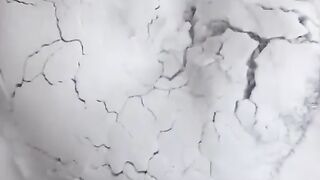 Snow and dogs