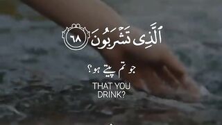 Tilawat e quran