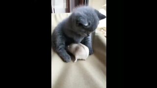 Amazing creature