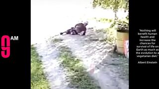 funny video,meme video,memer group funny videos,meme funny video,funny meme video