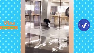 Best FUNNY Videos 2022 ● TOP People doing funny stupid things